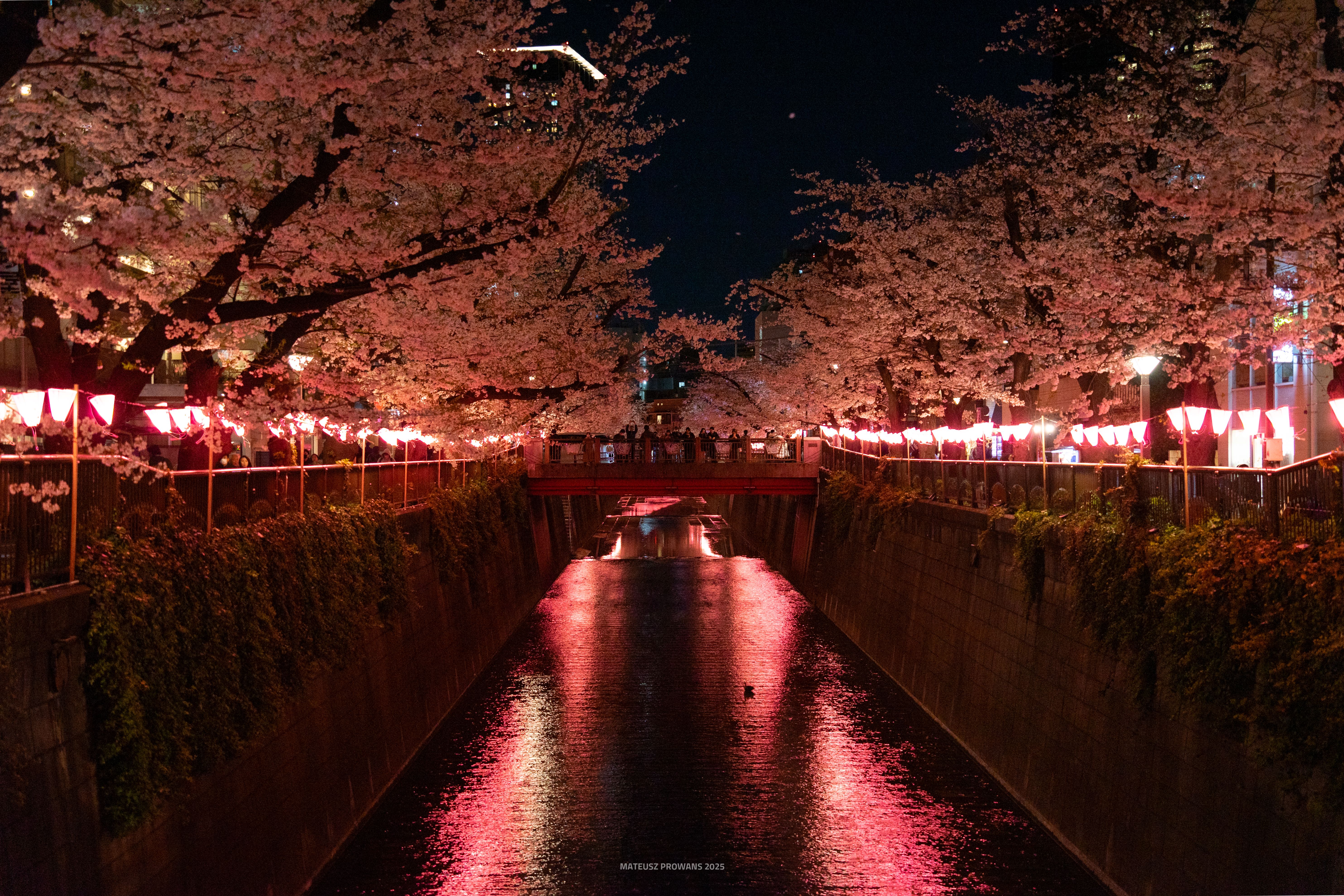Meguro 2025.04.04